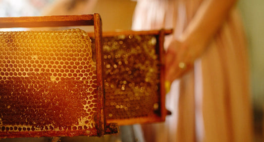 raw vs processed honey comparison